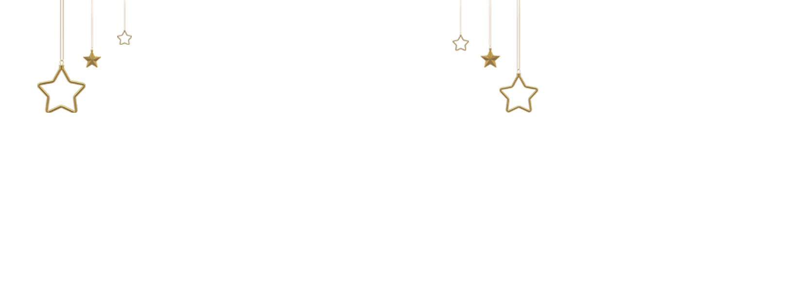 Certificate Project Control oferta de navidad