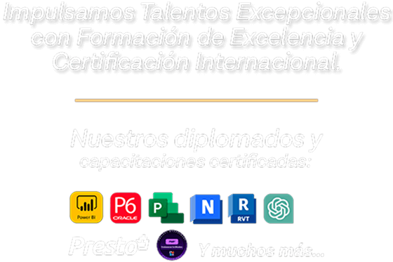 Certificate Project Control oferta de navidad